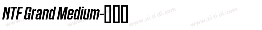NTF Grand Medium字体转换